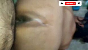 cozy little house with natural charm