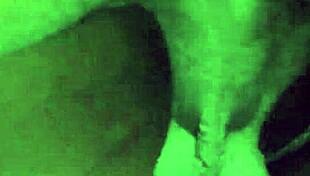 sugar daddy's new year romp while wife thinks he's working