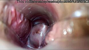 Watch This Intense Vaginal Orgasm in High Definition Close-Up!