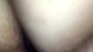 Europa brazilera gets rough ass fucking and creampie in florida