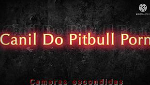 começou o bbb 2022 com todo mundo fudendo, asian brunette shemale pussy latina japanese assfucking shaved reality 😏