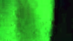 latina milf records stepson's friend penetrating her pussy before husband arrives.