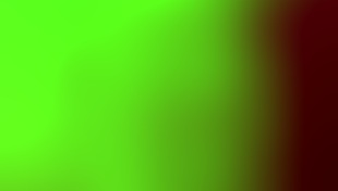 Dee Williams Rides Rome Major's Big Black Cock