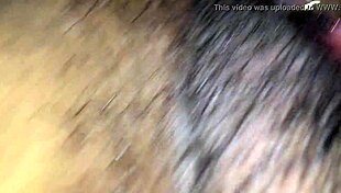 Amateur European and Brazilian porn stars in hot scenes in Miami and other European cities