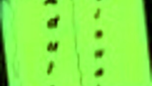 intertwined 48 melissa wants to explain things