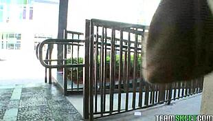 Riley Reed Fucks New Friend