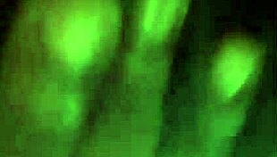 Blackpumkin Girl Feeling Funky Shows Sexy Body And Tits For Fucking