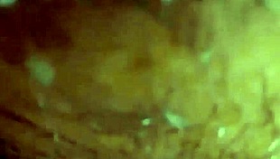 Moaning babe gets creampie in wet pussy with cumshot 😏