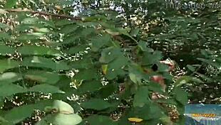 wondrous forest mala dvojka nude flashing sexy in nature voyeur 😜