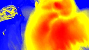 thermal homemade session