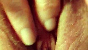 Cody Roy teases Danielle's pussy in fishnets