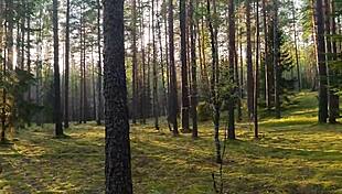 my little 18+ summer anal fun at the lake