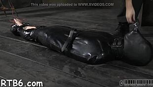 Hotty gets collar and opens legs