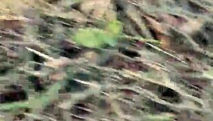 Watch a guy pissing from a tree in the park