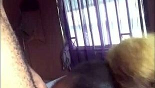 real africans sharing gonzo deep blowjob homemade amateur uncensored cellphone content with black couple pov deepthroat