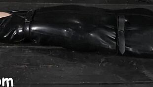 Hotty gets collar and opens legs