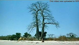 indian actress kitu gidwani goes topless in french movie black