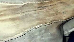 the neighbor's dirty panties are so emo and intriguing