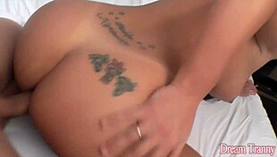 Shemale Bareback Creampie