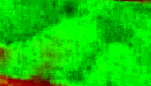 angelg and kuzz halloween special part 2