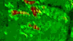 angelg and kuzz halloween special part 2