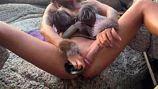 Wild Amazon Monika Fox Explores Outdoor Adventures With Costumes