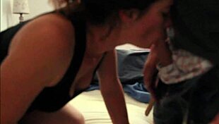 Afternoon Blowjob Sucking Cock