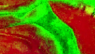 angelg and kuzz halloween special part 2