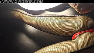 exploring lucy bunny figures in anime collection on patreon animejoker