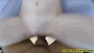 First time amateur teen gets banged in a group sex video