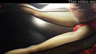 exploring lucy bunny figures in anime collection on patreon animejoker