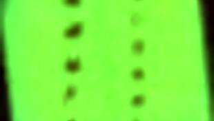 Big City Pleasures 46 She Swallows