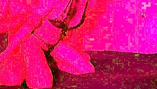 Lazycatdoll Tries New Lingerie For Fingering.