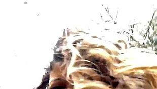 Alana Masturbates Her Small 18+ Tits!