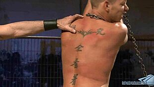 gay guy sucks cock then gets assfucked in group bdsm session?