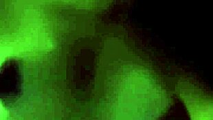 dazzlingfacegirl says, fuck my little hairy pussy with your big cock 😏 in doggystyle