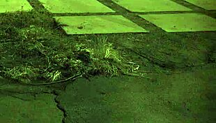 hey, brazilian bdsm is extreme domination and hardcore sex for teens