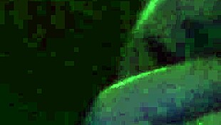 amateur girl gives deepthroat blowjob to her partner