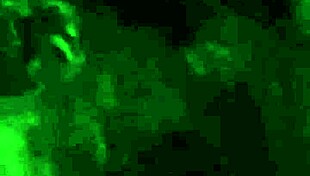 Oh, how I crave sucking that huge dick!