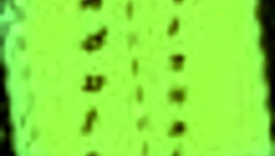 In this cartoon, the MILF says, Summer's gone, but the fun continues.