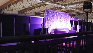 discover the playful erotic mouse dildo that teases and vibrates