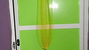 How does the gate man fuck the creamy house help so amazingly?