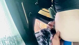 celebrity couple caught fucking at wild park with bigbootilatte