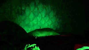 a brazilian couple enjoys a home video in brazil