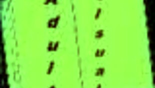 Exciting fashion business adventure