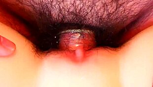 watching a wild fuck session up close