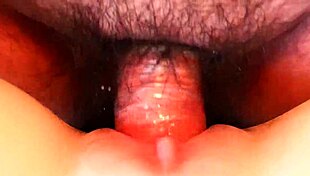 watching a wild fuck session up close