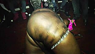 Honeycomb hideout adventure in a 3d game.