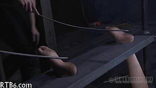 naughty lovely honey gets lusty collaring with intense passion