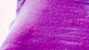 Damn, check out Riko Aiba in steamy Japanese fetish action at the hot springs!